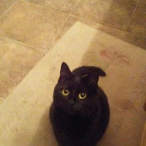 Meet your Posher, Jacquie